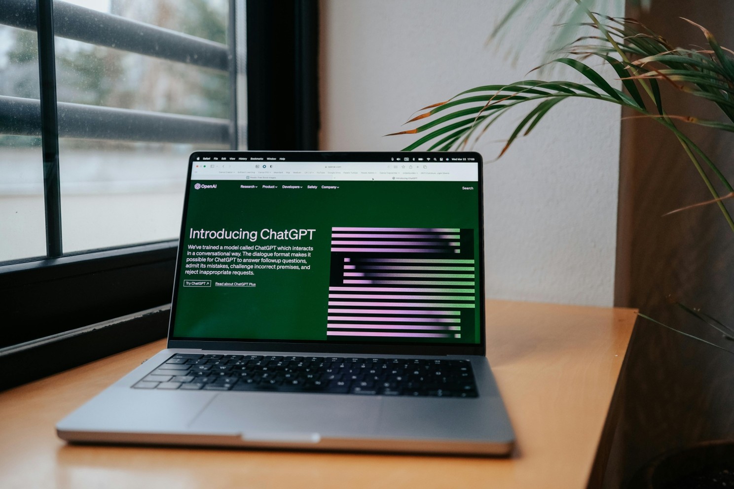 laptop laptop